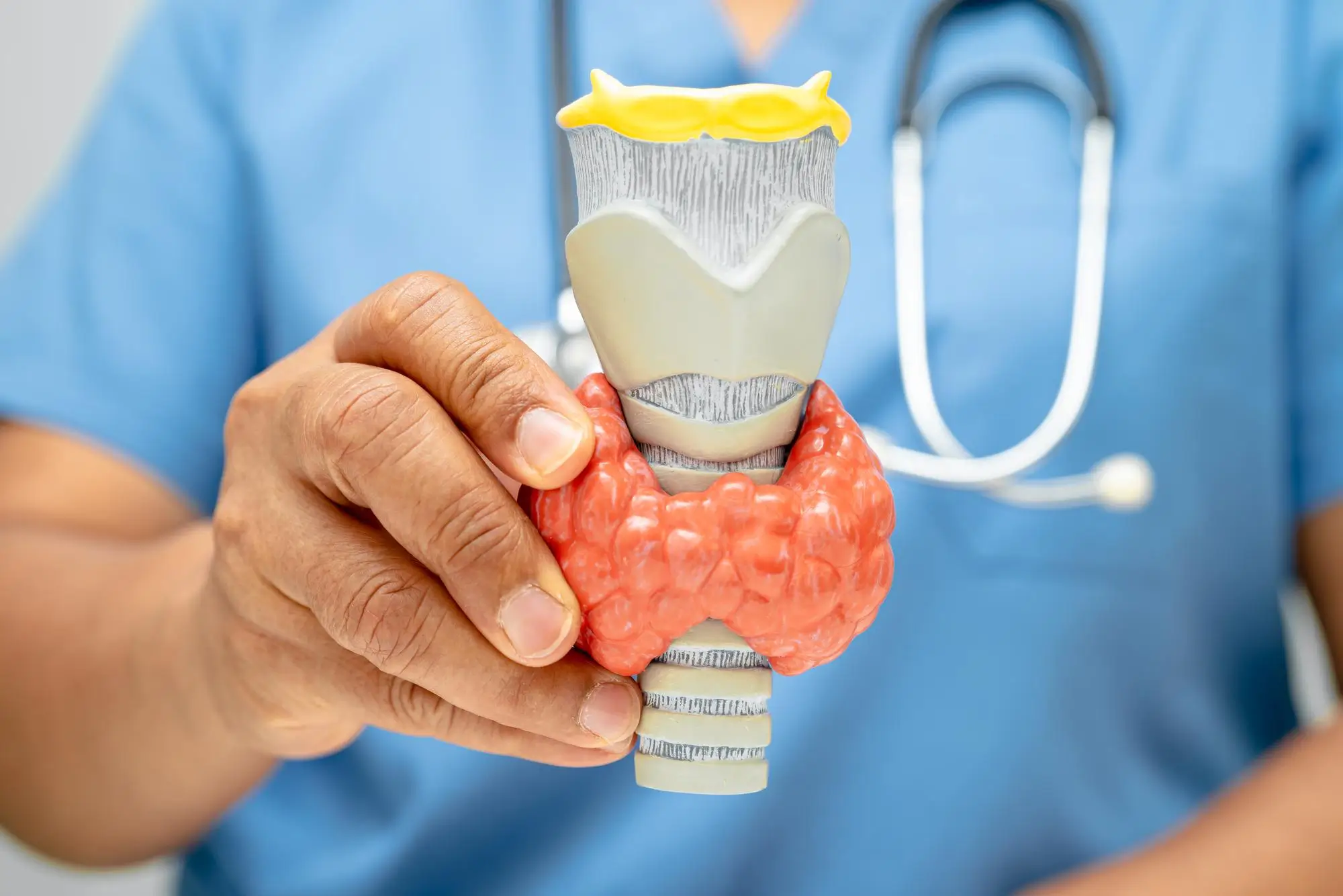 Thyroid Test at Home Service in Dubai